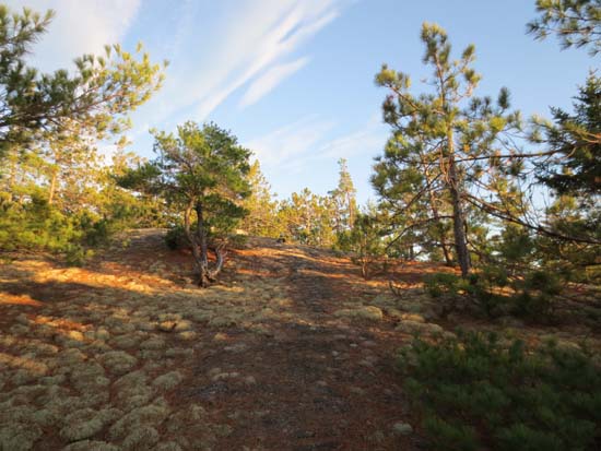 The Middle Mountain Trail