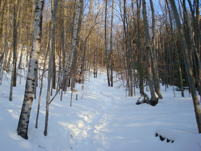 The Middle Mountain Trail