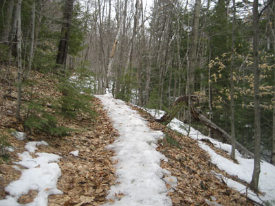 Looking up the Middle Mountain Trail