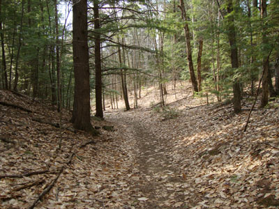 The Middle Mountain Trail