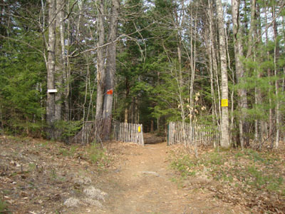Middle Mountain Trail trailhead under the power lines
