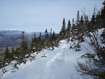 Looking up the Champney Falls Cutoff trail