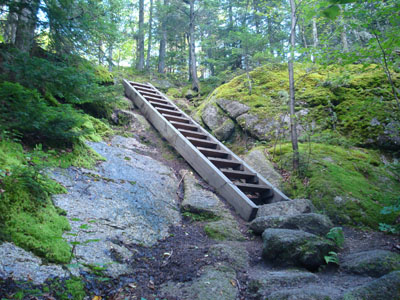 Looking up the Sugarloaf Trail near the Middle Sugarloaf summit