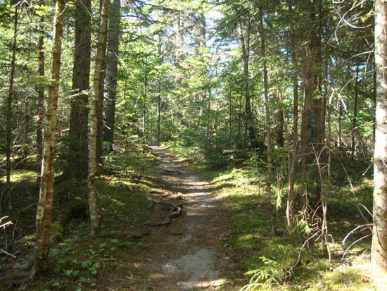 The Sugarloaf Trail between the peaks