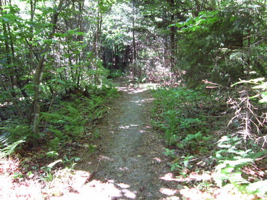 The Sugarloaf Trail between the peaks