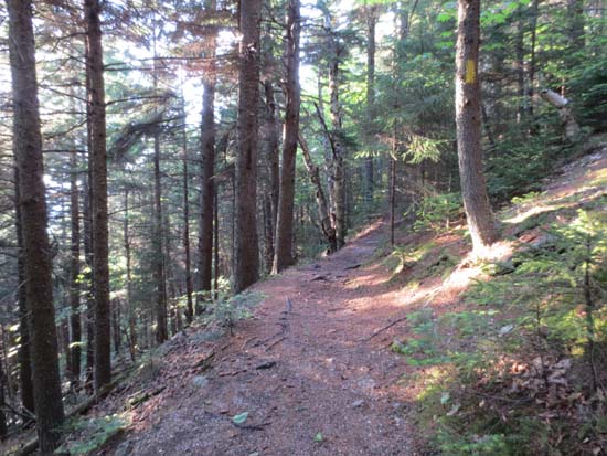 The Sugarloaf Trail between the peaks