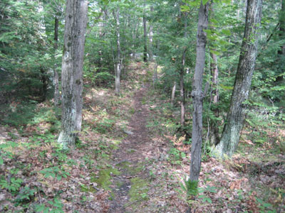 Trail near Mine Ledge