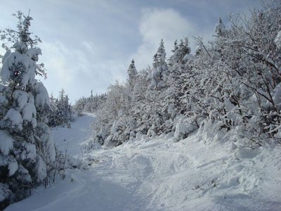 Looking up one of the ski trails on the way to the top of Mittersill