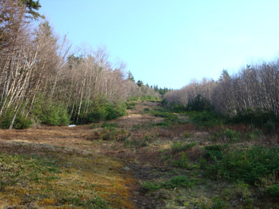 Looking up the Taft Cut Off on the way up Mittersill Peak