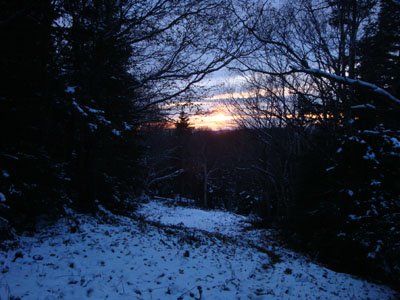 The Tucker Brook Trail