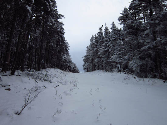 The Taft Trail below Mittersill Peak