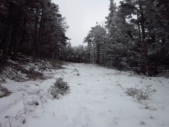 The Taft Trail below Mittersill Peak