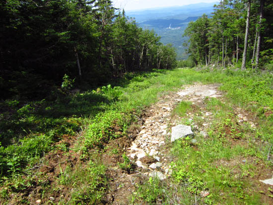 The Taft Trail