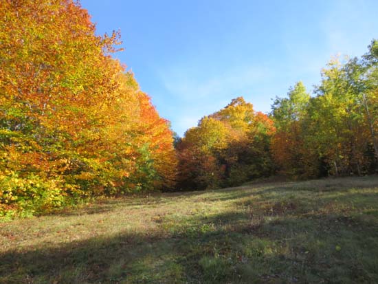Looking up the Mittersill-Cannon Trail on the way to Mittersill Peak