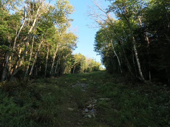 Looking up the Mittersill-Cannon Trail on the way to Mittersill Peak