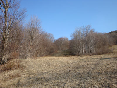 Looking up the old Mittersill ski area