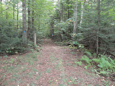 The bottom of the Tucker Brook Trail at the end of Tucker Brook Road