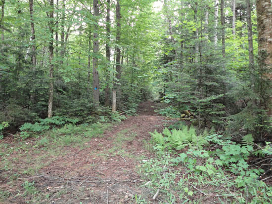 The bottom of the Tucker Brook Trail at the end of Tucker Brook Road