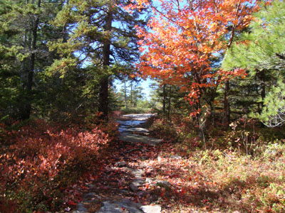 The Moose Mountain snowmobile trail