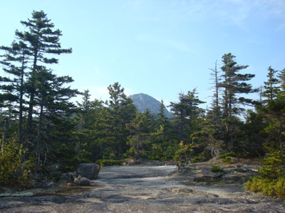 Looking up the Hammond Trail