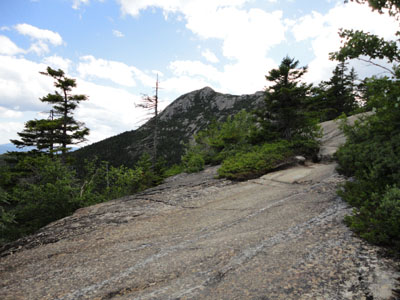 Looking up Piper Trail