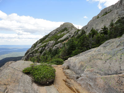 Looking up Piper Trail