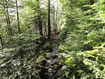 The West Side Trail