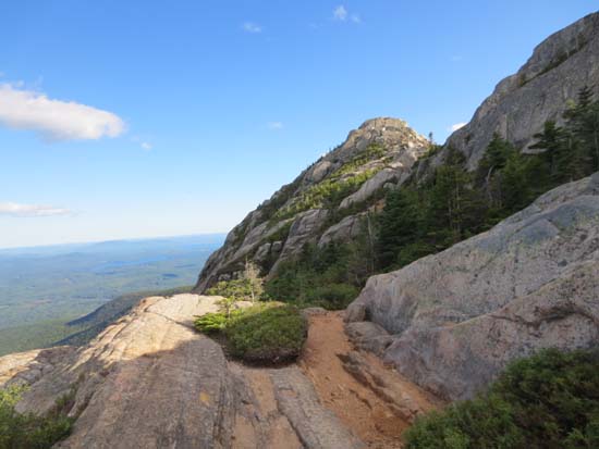 Looking up the Piper Trail