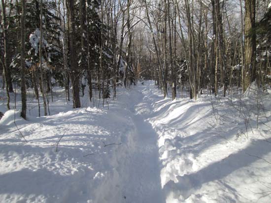 The lower Champney Brook Trail