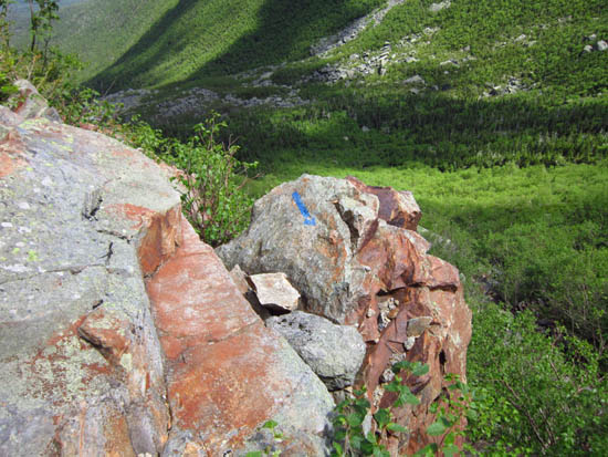 The Great Gully Trail