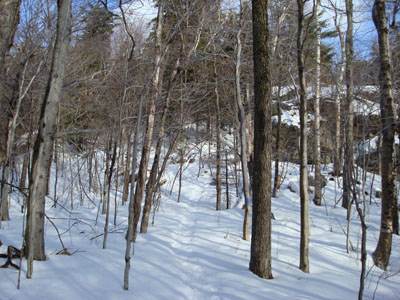 The Anna-Straightback Link trail