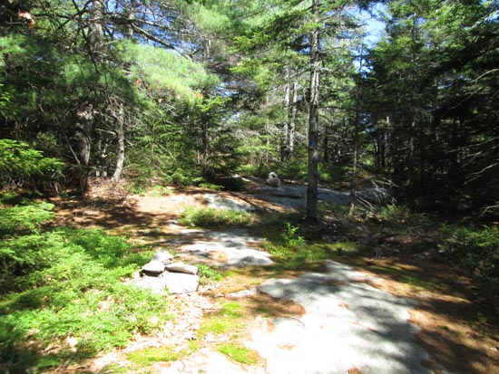 Looking up the Anna-Old Stage Road Link