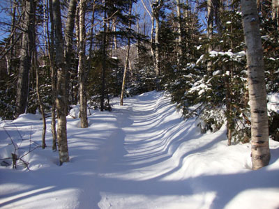 The Avalon Trail