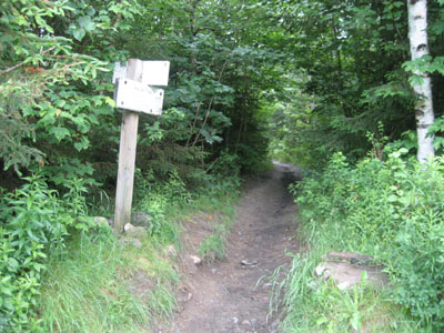 The Avalon Trail trailhead next to the train station