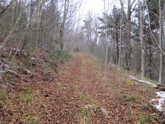 The old road up North Blue