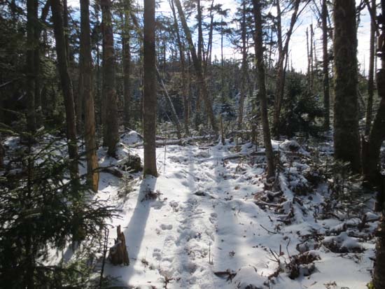Bushwhacking between Gore Mountain and Mt. Blue