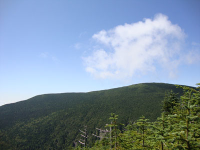Looking at Mt. Moosilauke from near the summit of Mt. Blue - Click to enlarge