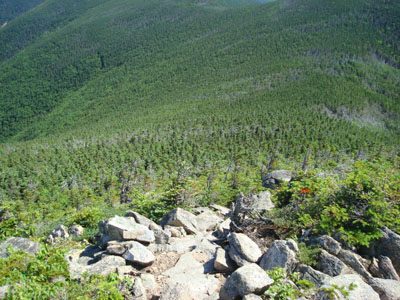The Twinway between Zealand and Guyot has some rough footing in places