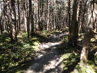 The rocky Twinway between Zealand and Guyot is a sick joke at the end of the day