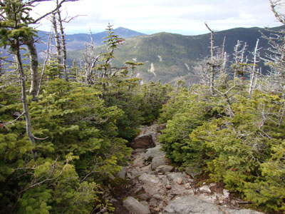Looking down the Bondcliff Trail on the way to West Bond