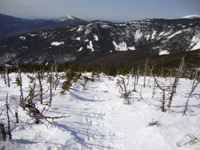 Looking down the Bondcliff Trail on the way to West Bond