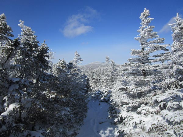 Looking down the Bondcliff Trail on the way to West Bond