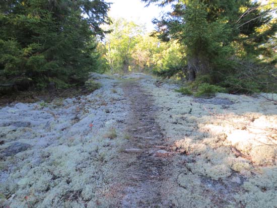 The Scudder Trail