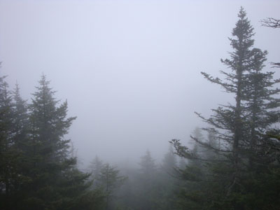A view of mist from the former fire tower location near the Mt. Cabot summit - Click to enlarge
