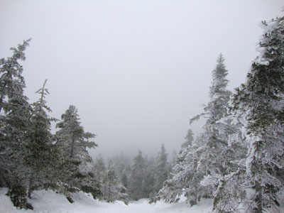 A lack of views from the old firetower site on Mt. Cabot - Click to enlarge
