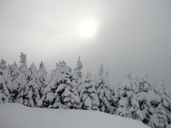 Socked in at the old fire tower site - Click to enlarge