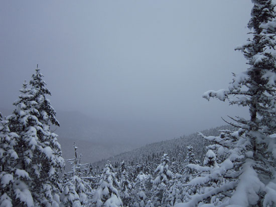 Socked in at the old fire tower site - Click to enlarge