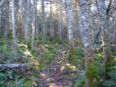 The Kilkenny Ridge Trail to Mt. Cabot