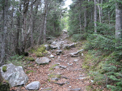 The Kilkenny Ridge Trail on the way to Mt. Cabot