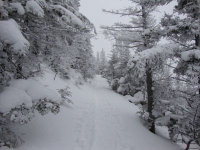The Kilkenny Ridge Trail on the way to Mt. Cabot